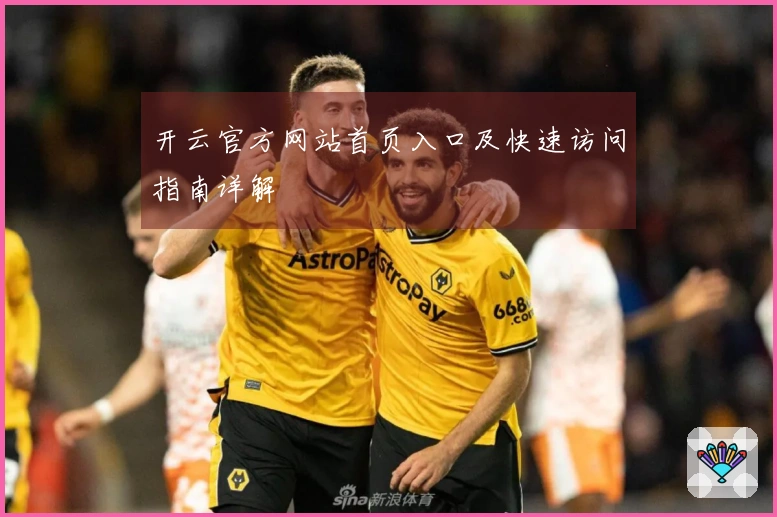 开云官方网站首页入口及快速访问指南详解