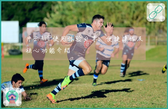 开云APP使用体验分享：便捷操作及核心功能介绍